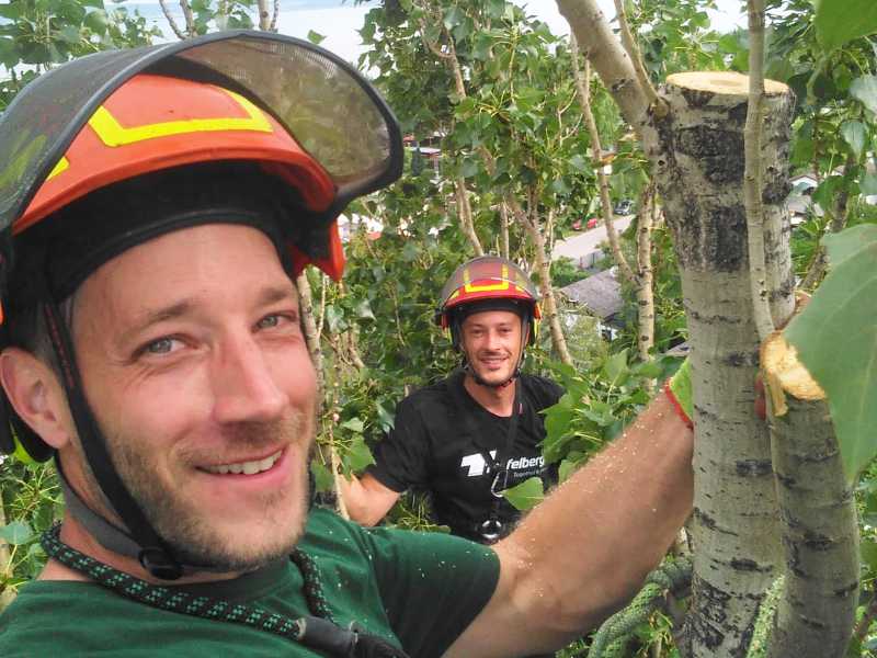 Baumschnitt Wien - Das Team von TreeBee in Action